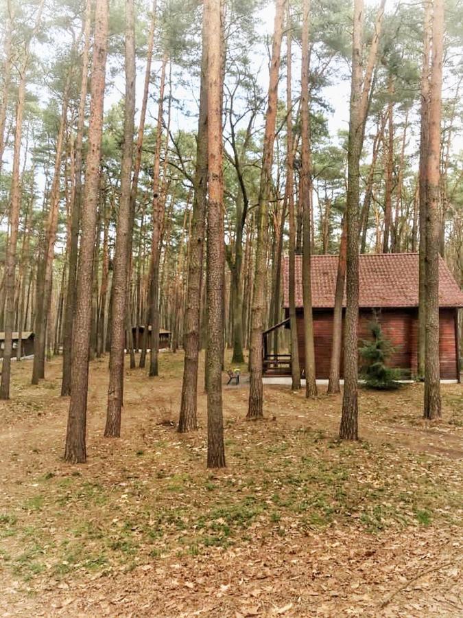 Отель Aura Grotniki Grotniki  Экстерьер фото